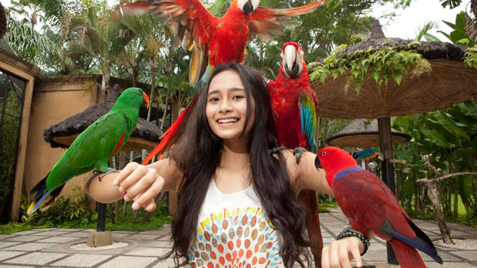 Bali Bird Park