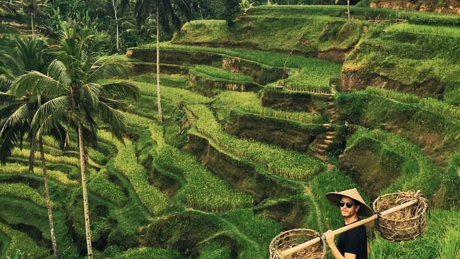 tegalalang rice terrace