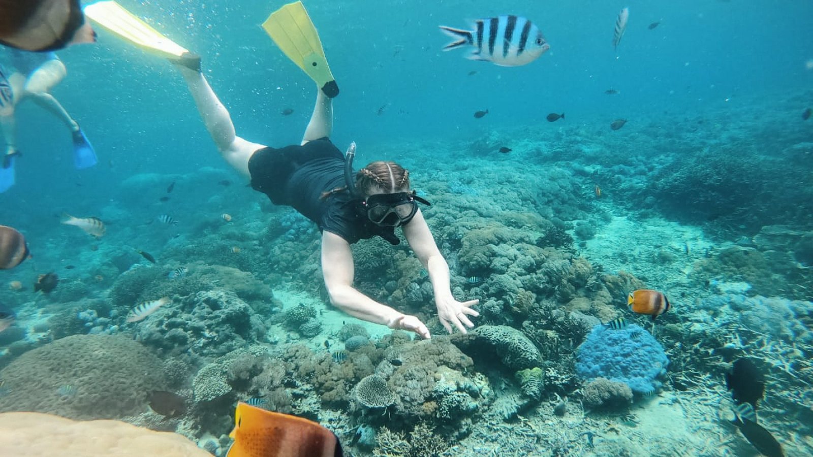 Snorkeling-2-qw7bd3j844r3n0qlo44rcndg66o0rpxfneipw8hhdc