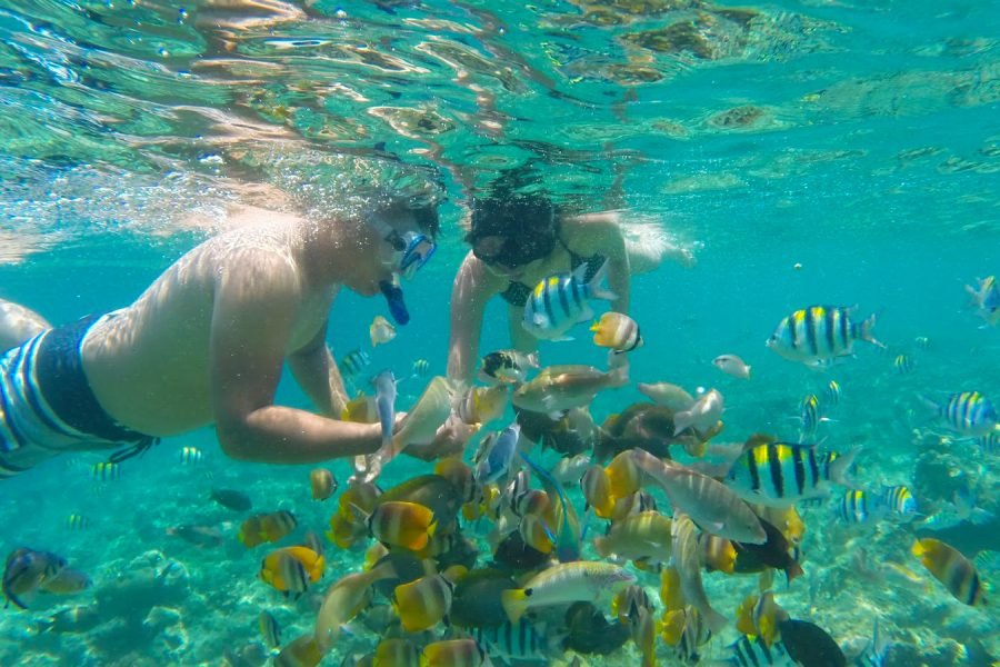 Snorkeling Gili Island