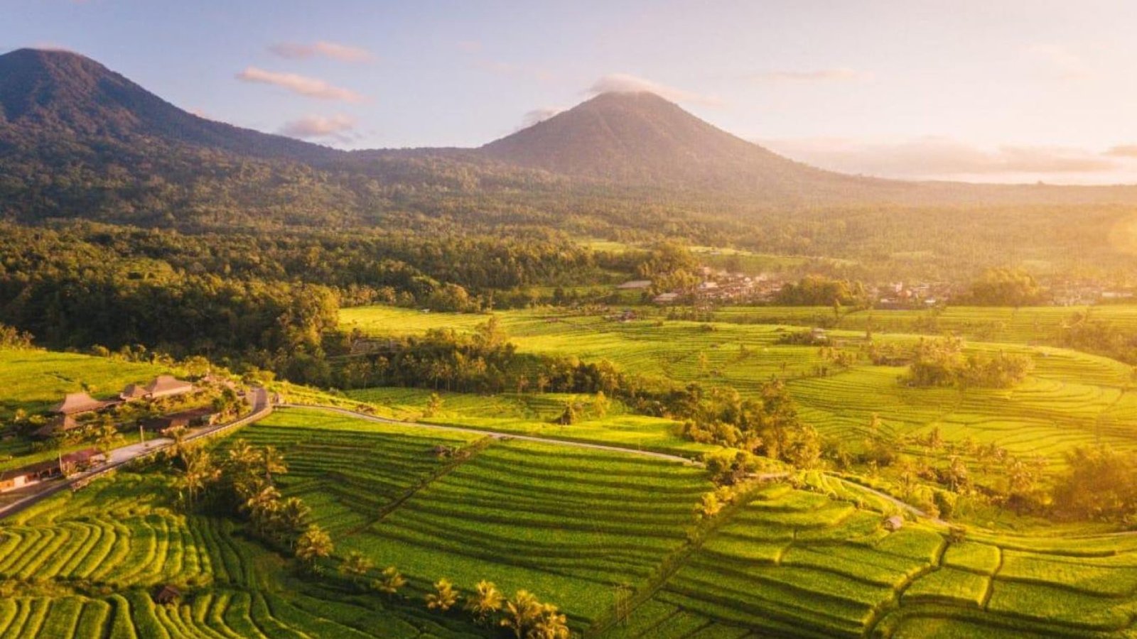 jatiluwih rice terrace